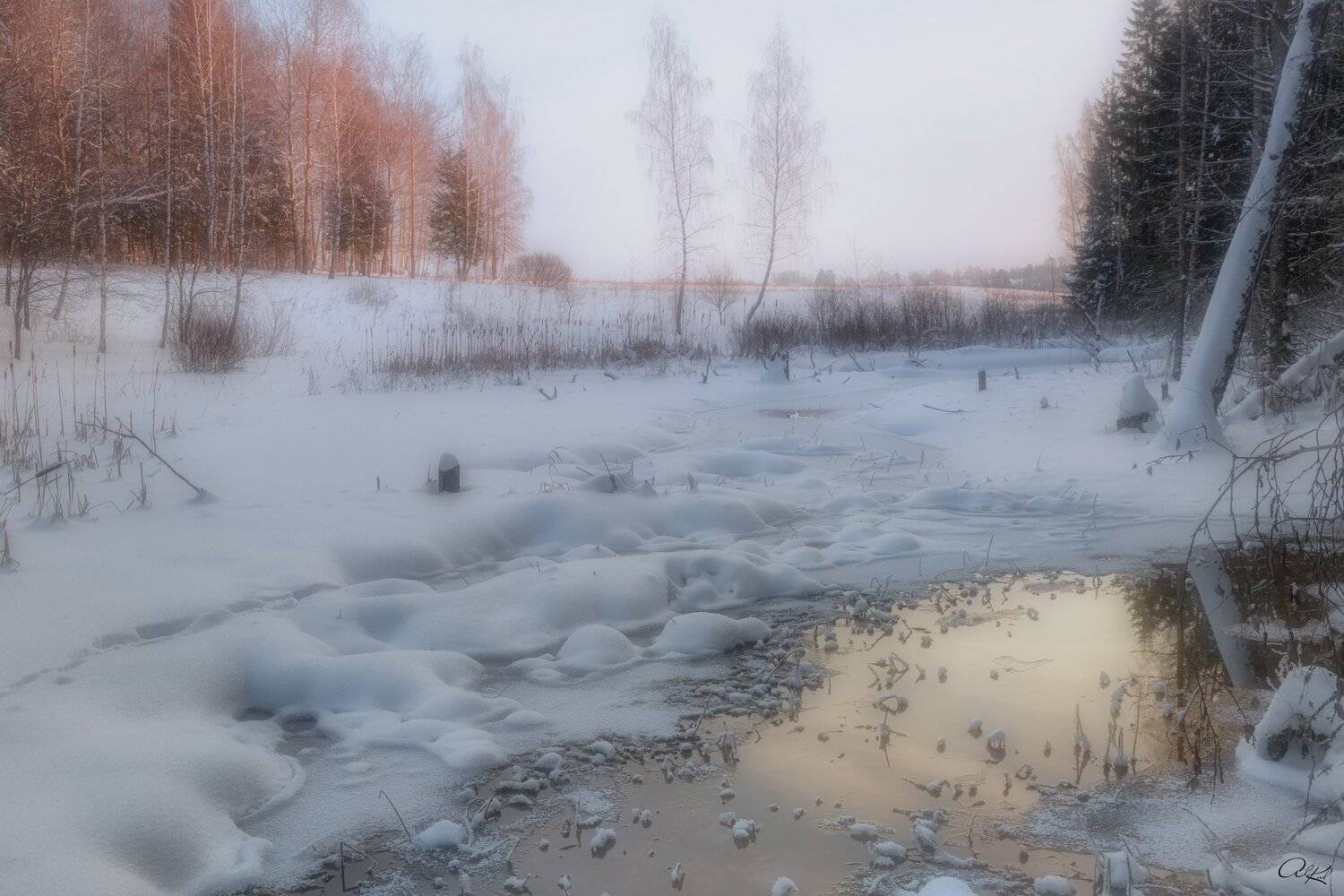 , Александр Кудинов