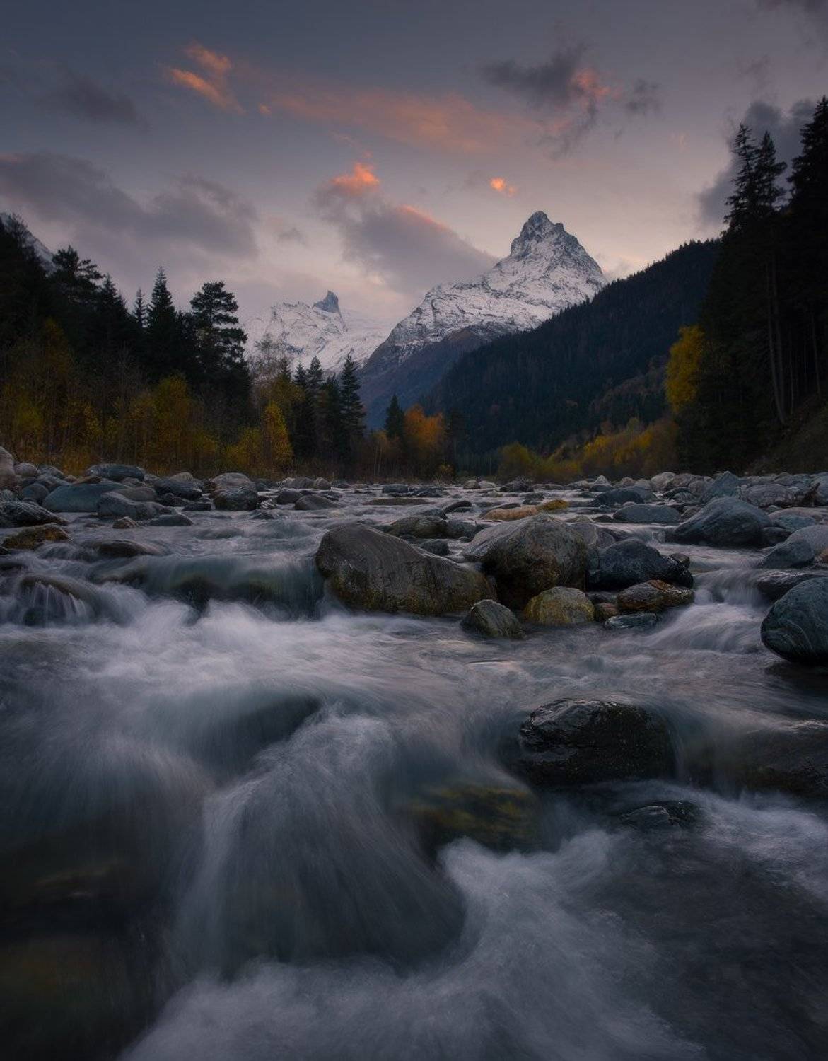 , Николай Степаненко