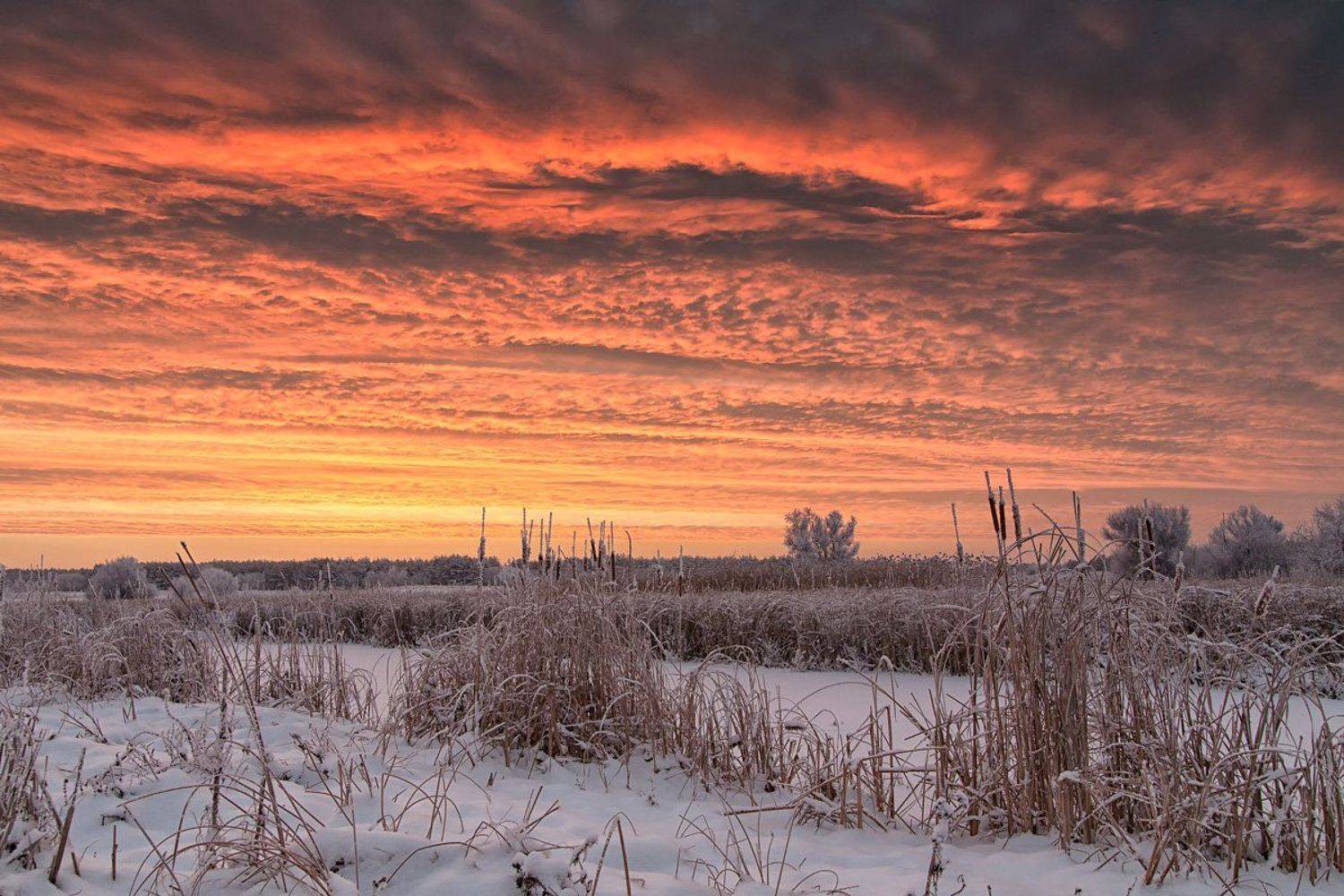, Александр Войтенко