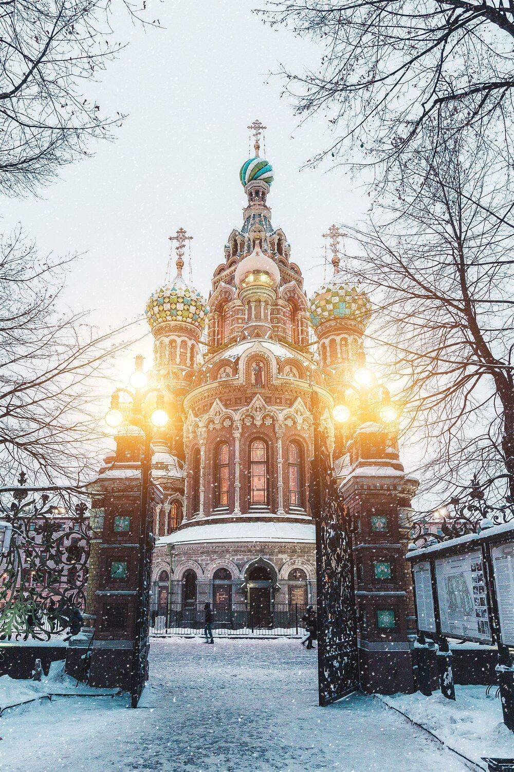 winter, russia, snow, спб, зима, снег, Андрей Михайлов
