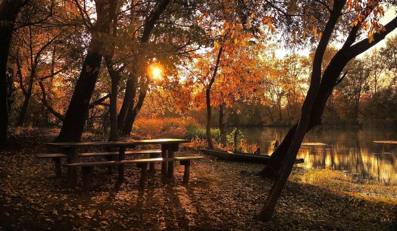 Золотые вечера фото превью