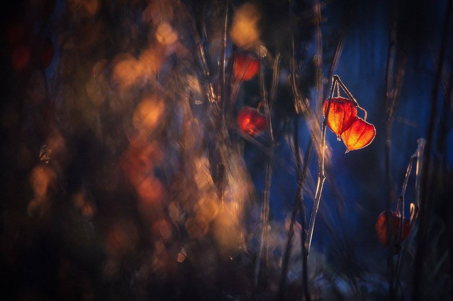 , Вячеслав Мищенко