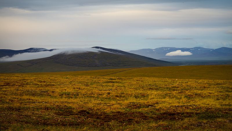 север, тундра, сопки, чукотка, пейзаж, природа, облака, небо, Тучки спать ложились... фото превью
