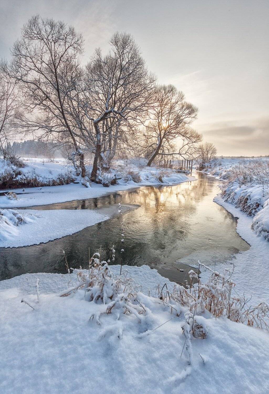 , Николай Андреев