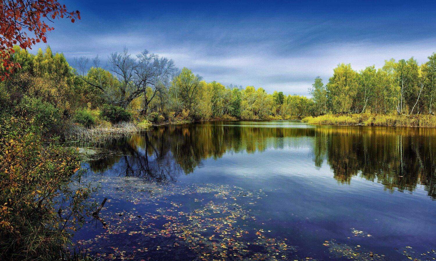лето,вода, Бусыгин Борис