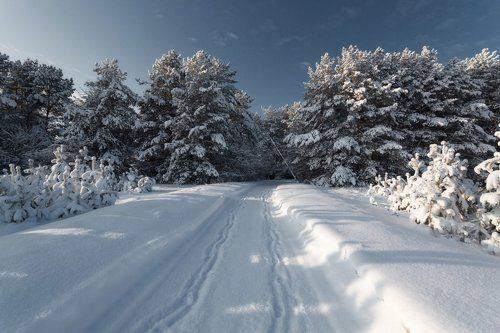 Морозный шлагбаум
