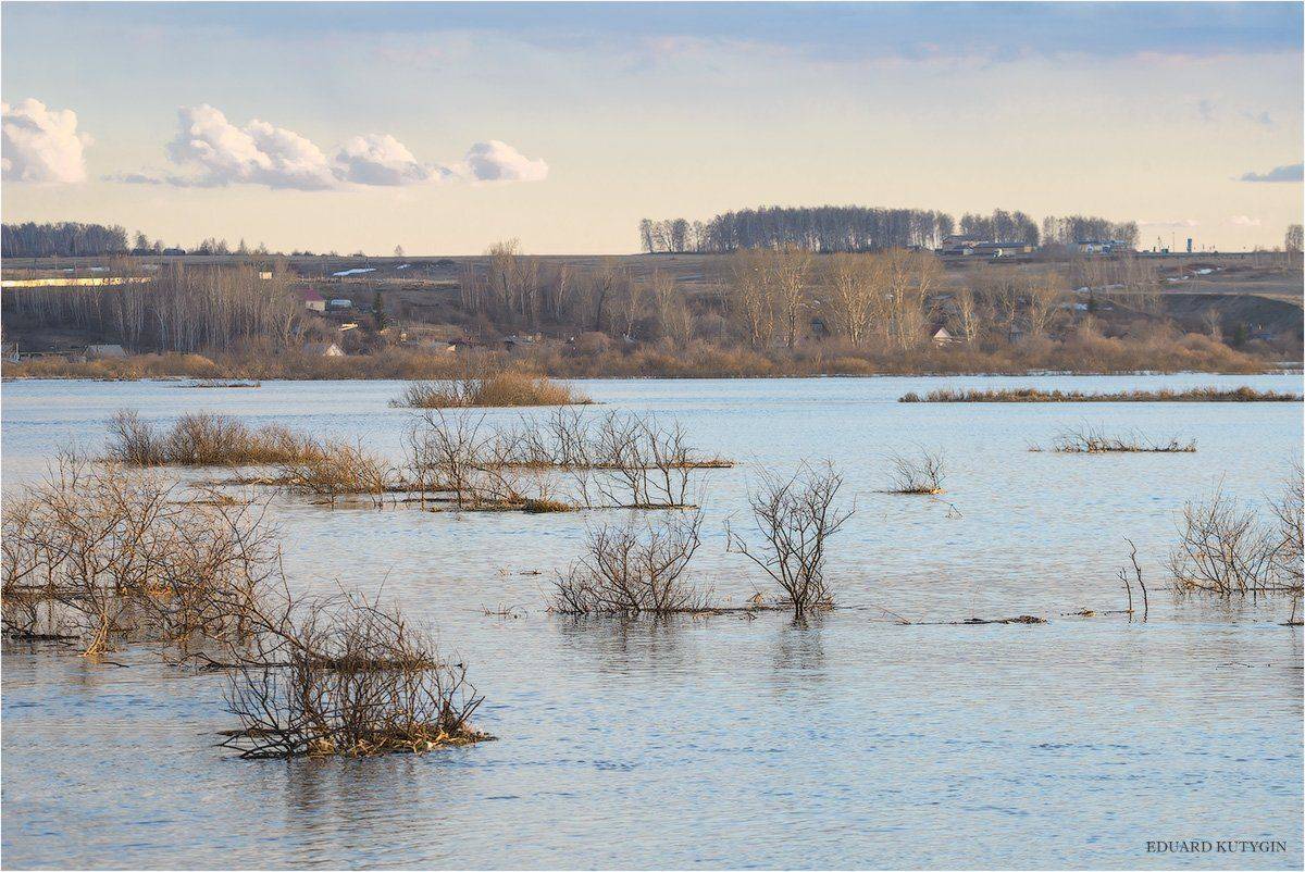 Шадринск, разлив, половодье, паводок, Шадринский, Зауралье, кутыгин, Исеть, Туманова, Кутыгин Эдуард