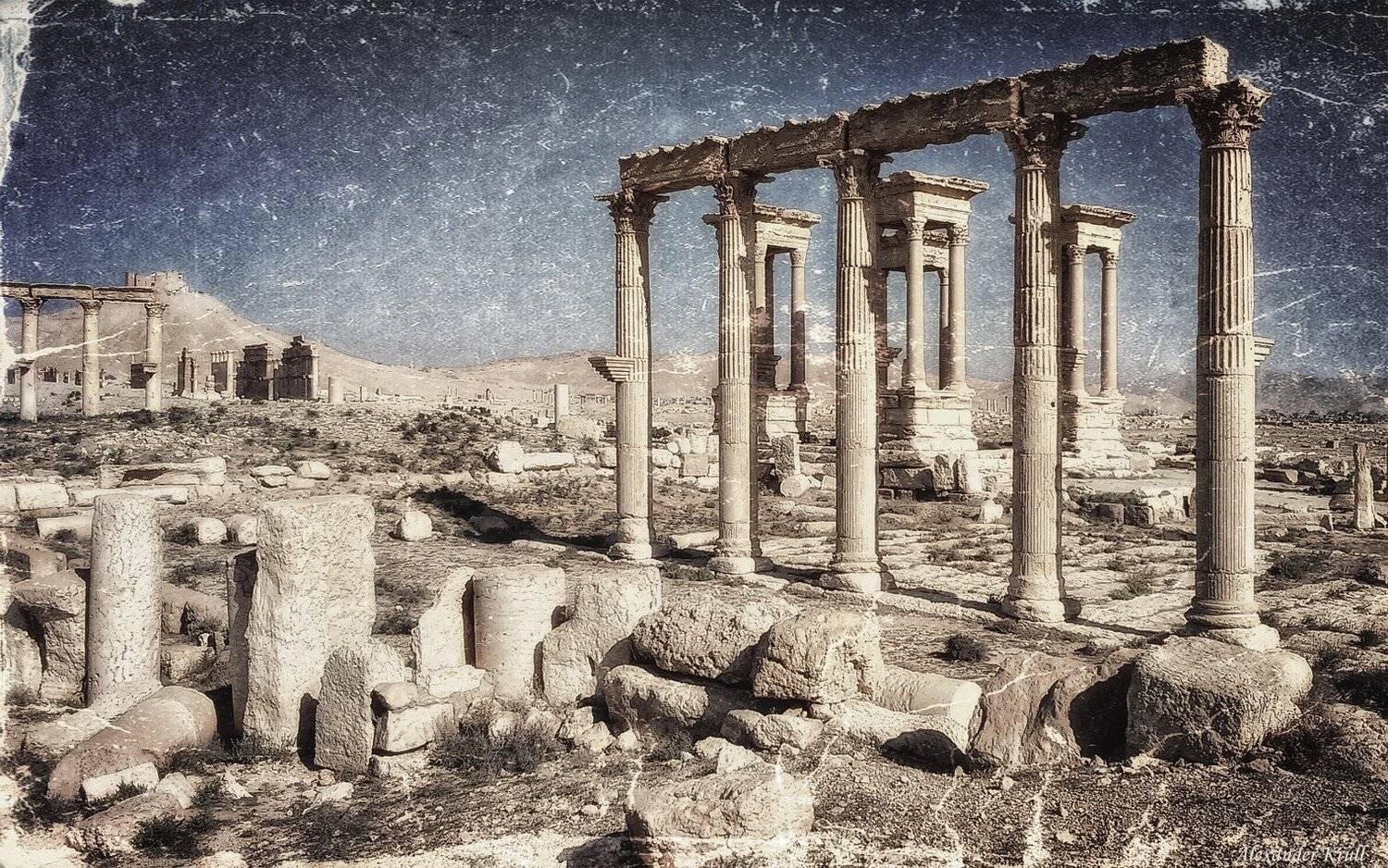 сирия, пальмира, Александр Круль