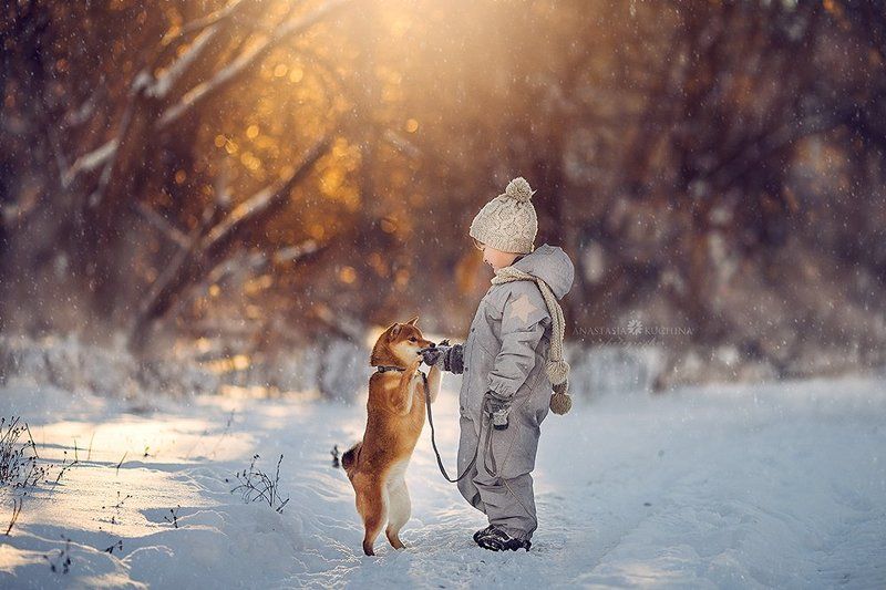 Два друга фото превью