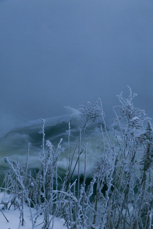 зима, снег, туман, утро, горячка, пейзаж, красота Горячка фото превью