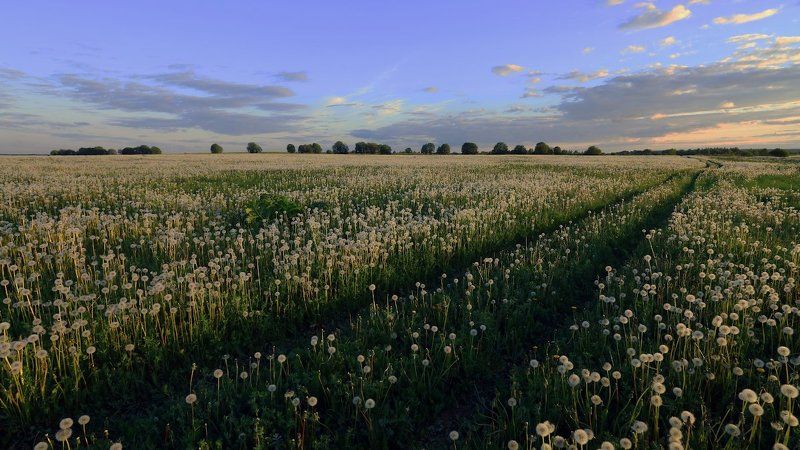 Белым снегом... фото превью