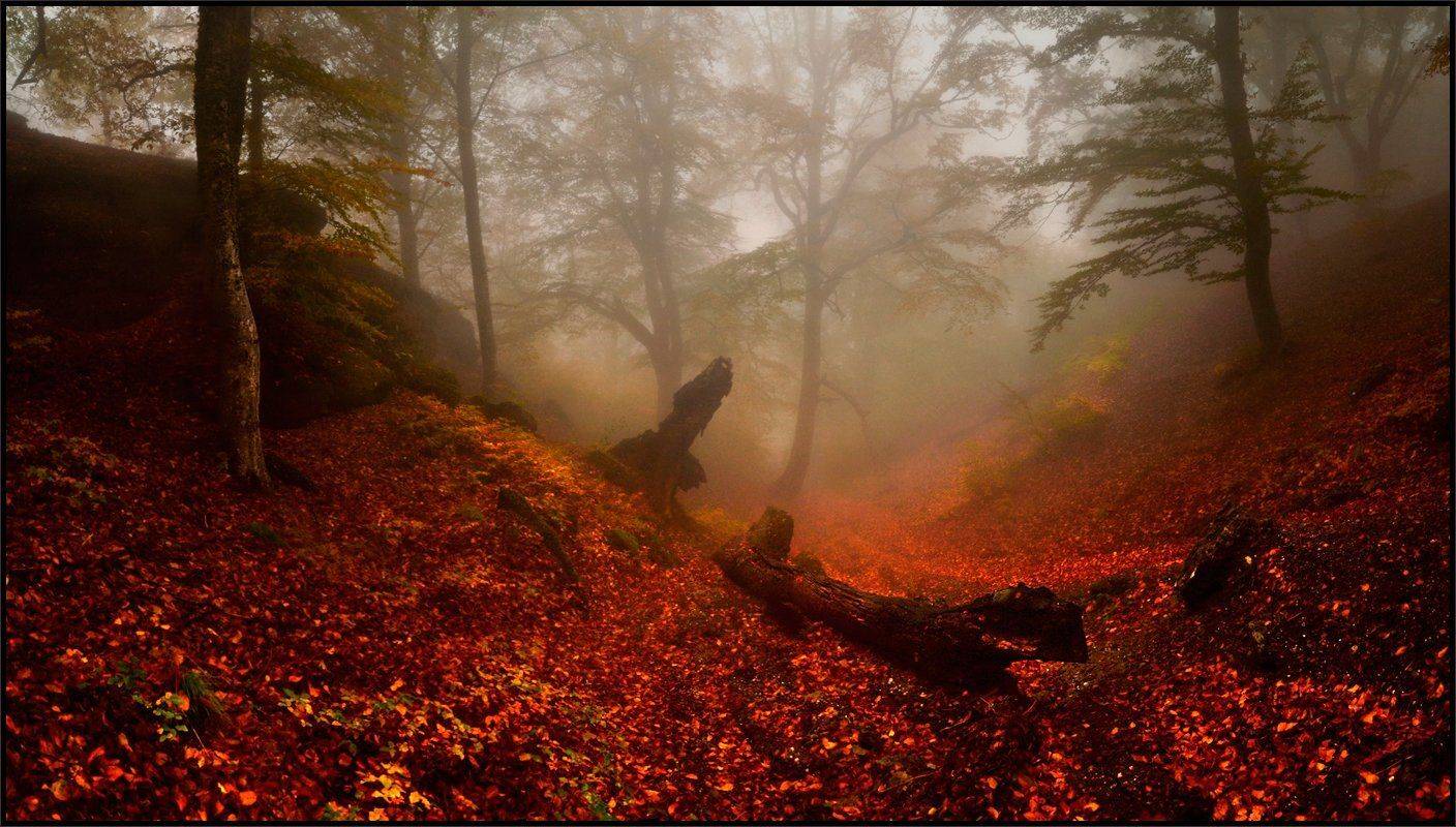 , Владимир Метцгер