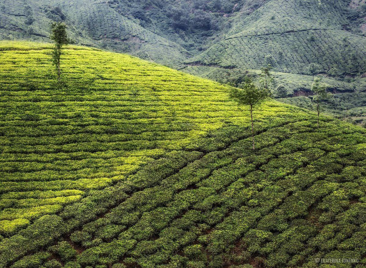 , Екатерина Ионенко