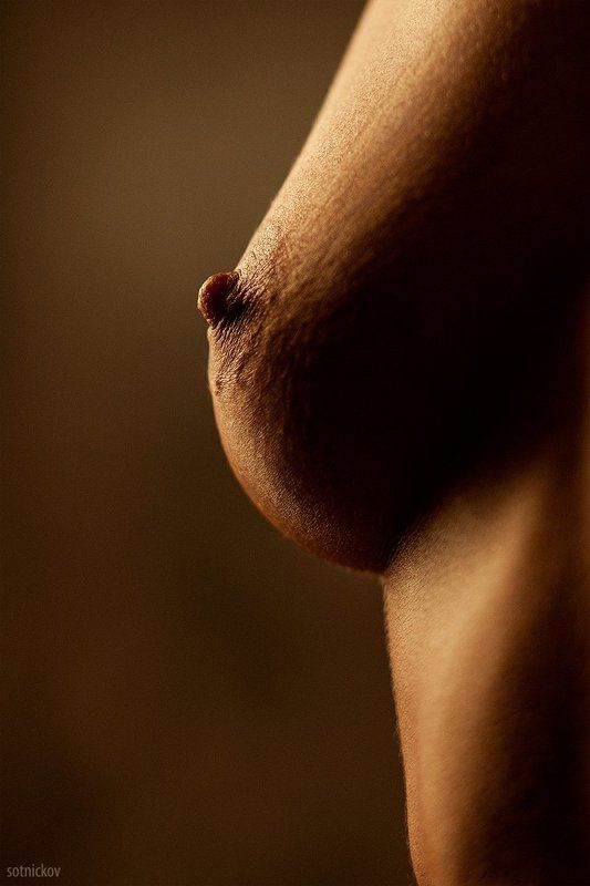 грудь, ню, контур, кожа, формы идеальные формы фото превью