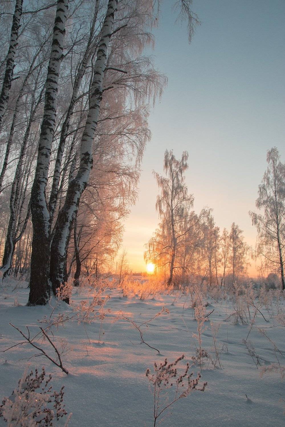 , Александр