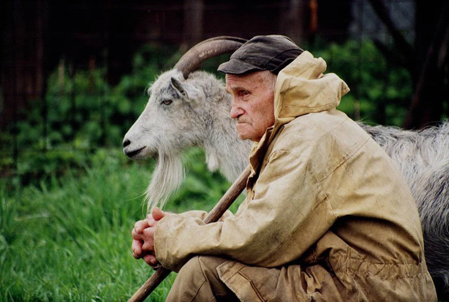 , подгурченко виталий ильич