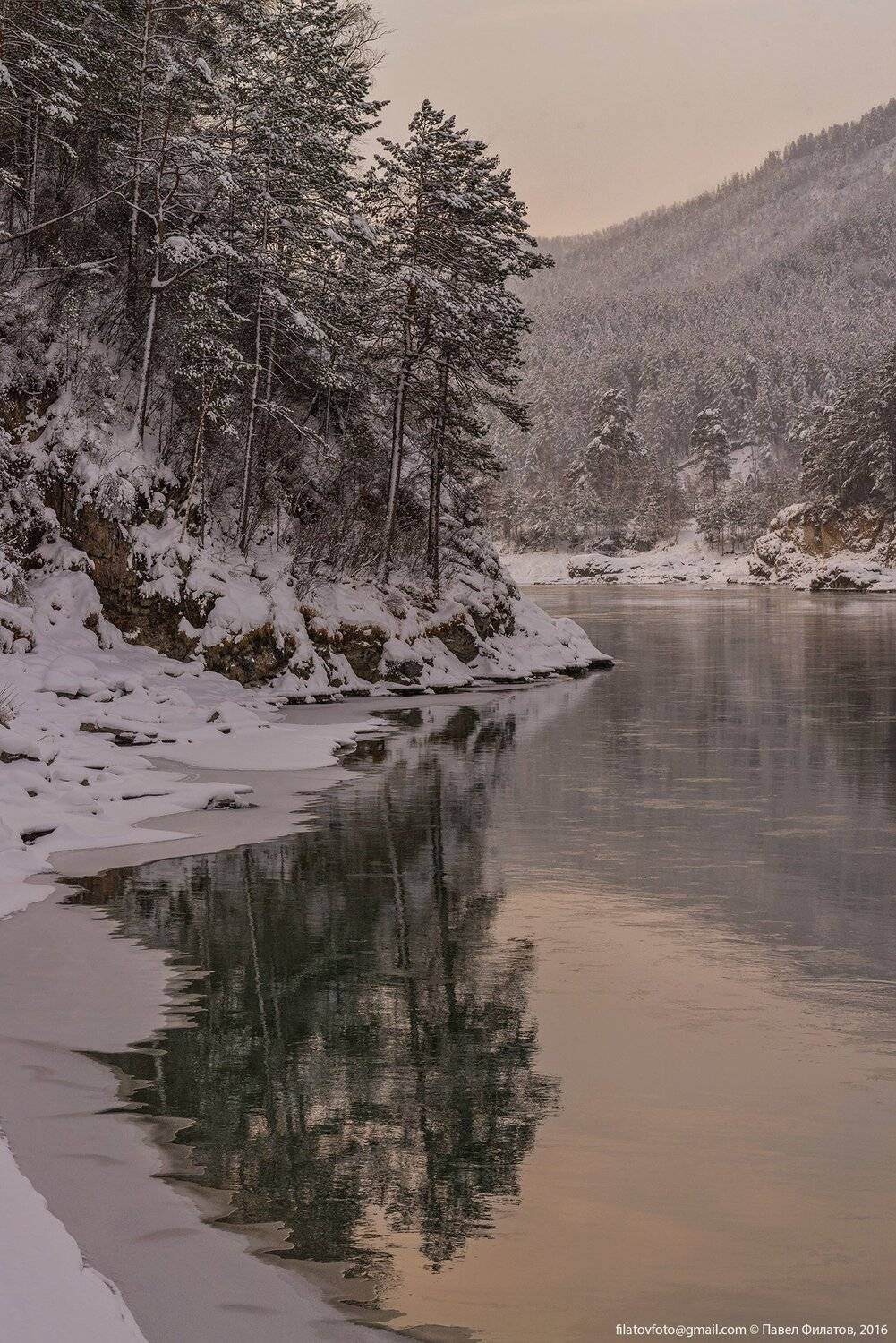 алтай, altai, сибирь, siberia, pavel filatov, павел филатов, katun, катунь, зима, снег, горы, сосны, Павел Филатов
