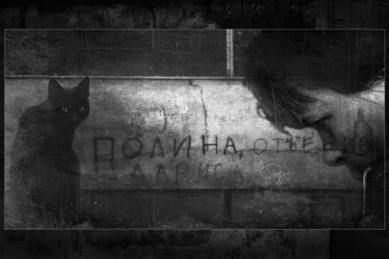 Белый кот фото превью