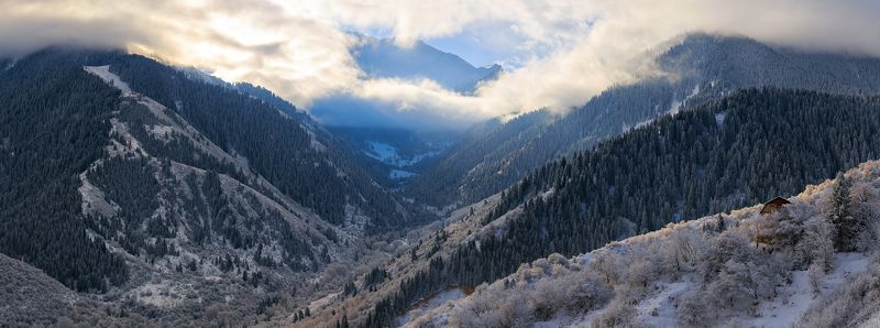 Зимнее утро фото превью