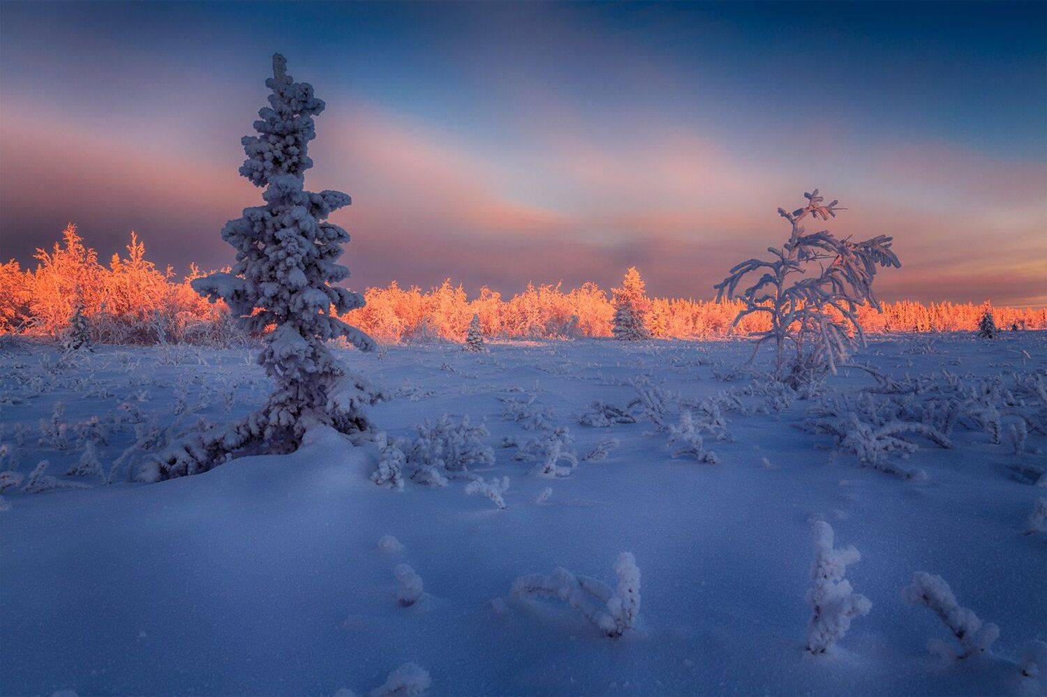 , Евгений Кужилев