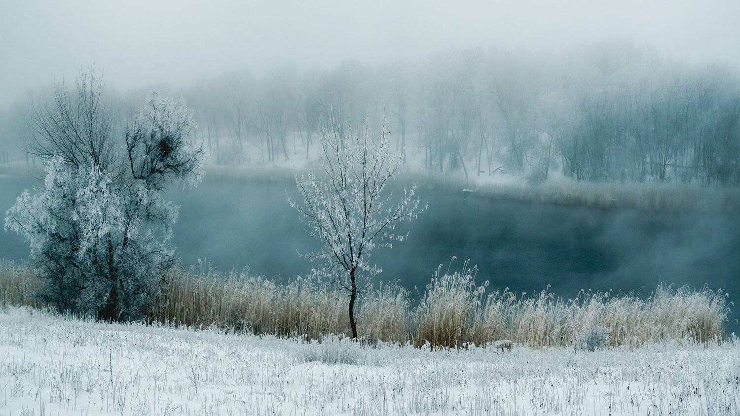 , Игорь Мелекесцев