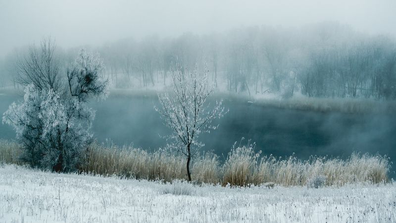 Сказки зимы... фото превью