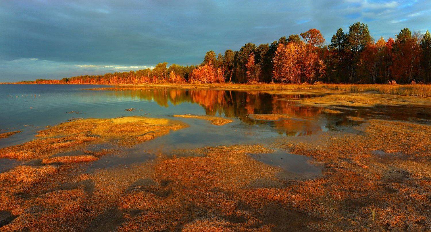 , Татьяна Борисова