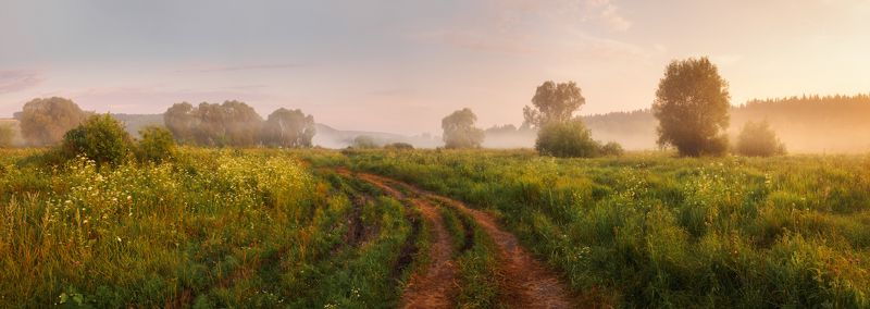 Панорама летнего утра фото превью