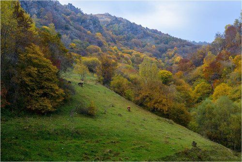 Пасмурный вечер