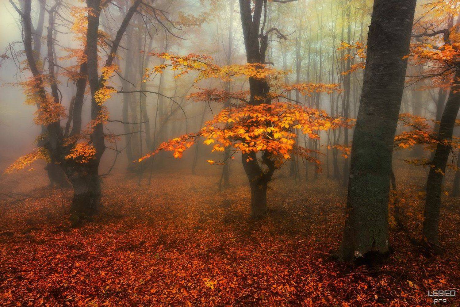 , Виктор Лебедь