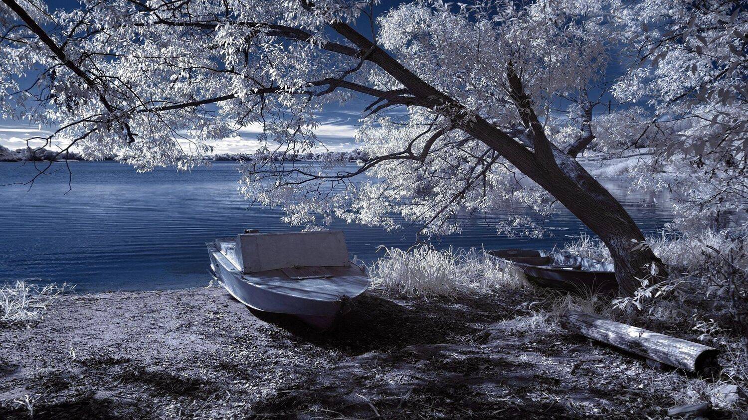 infrared,ик-фото,инфракрасное фото,инфракрасная фотография,пейзаж,природа,беларусь,осень, Sixten ( Сергей )