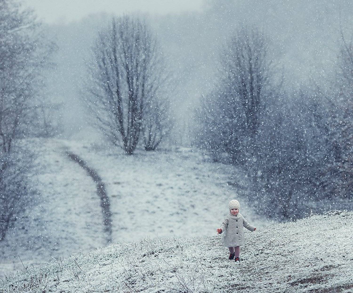 , Карнеева Елена