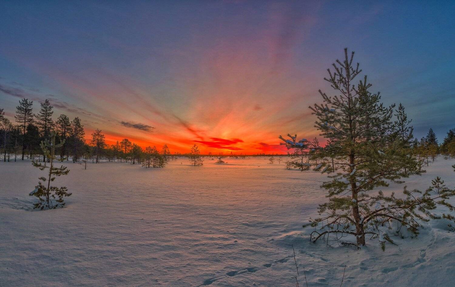 , Олег Авдеев