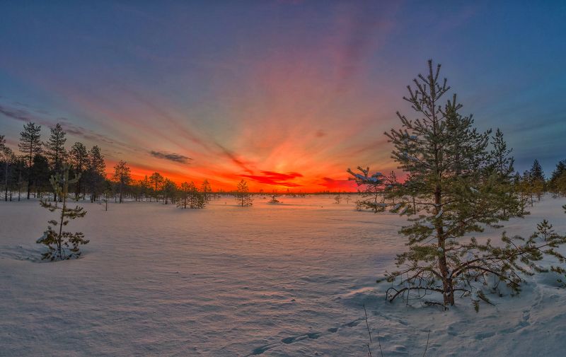 Рассвет фото превью