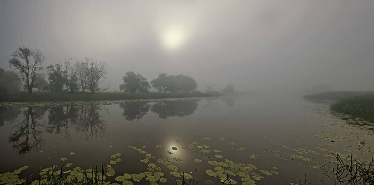 ***, Валерий Кондратов