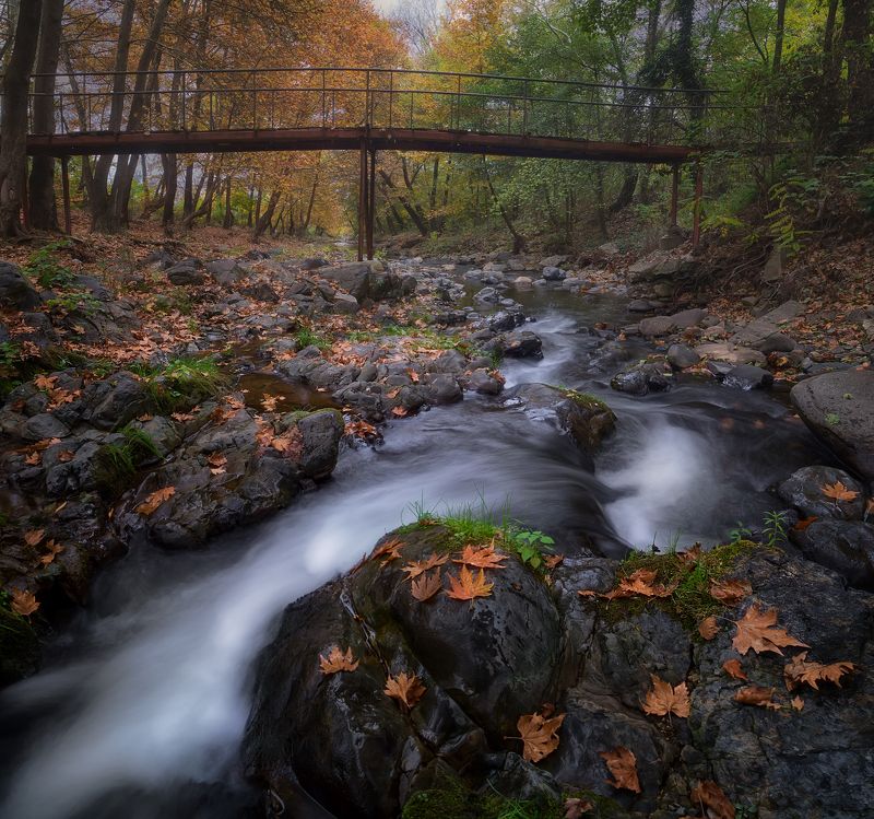 Есен фото превью