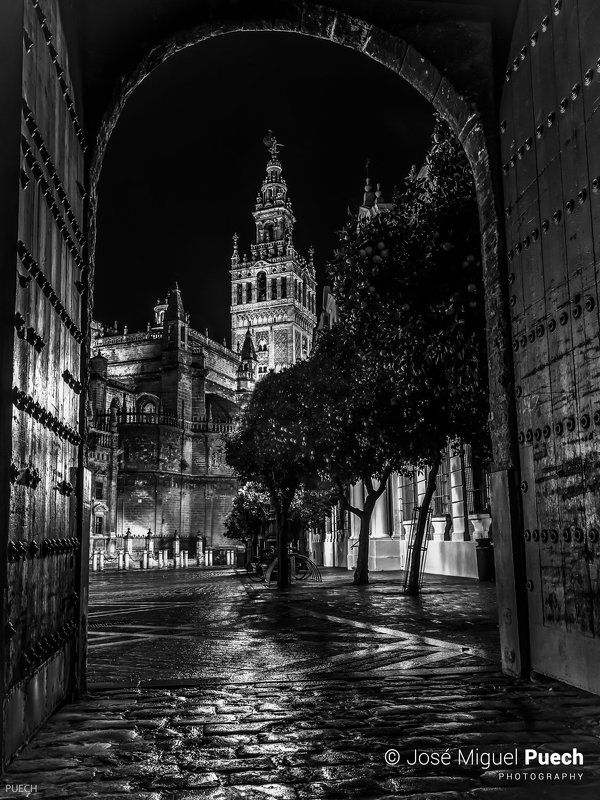 © José Miguel Puech фото превью