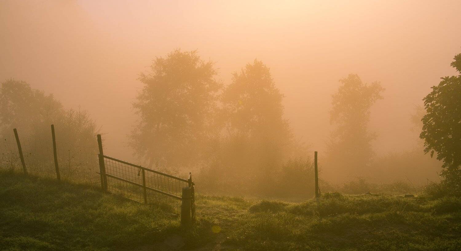 , Игорь Криницын