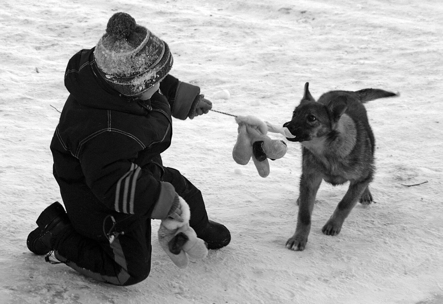 , подгурченко виталий ильич
