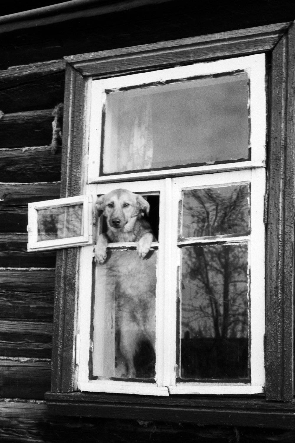 , подгурченко виталий ильич