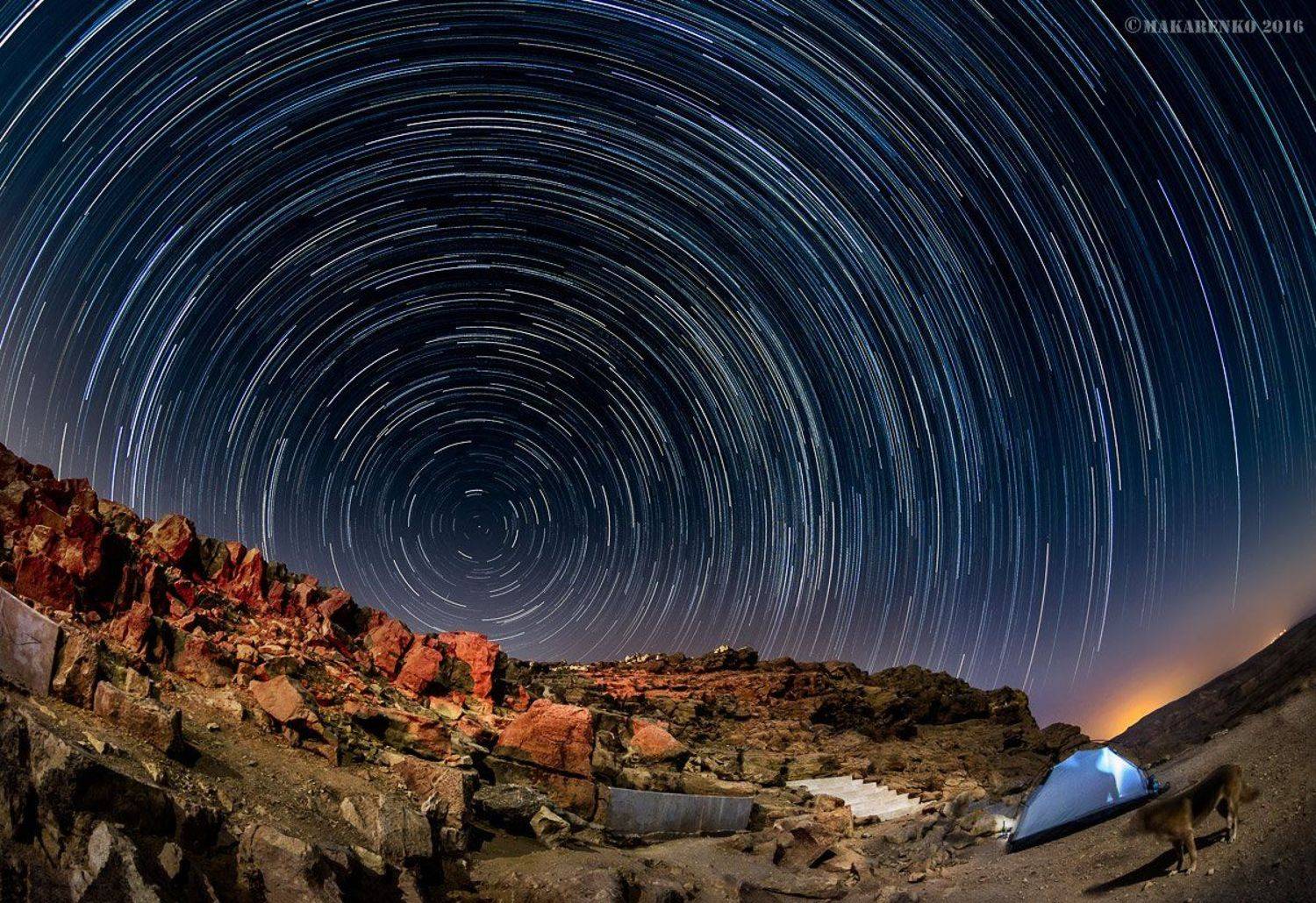 , Alexandr Makarenko