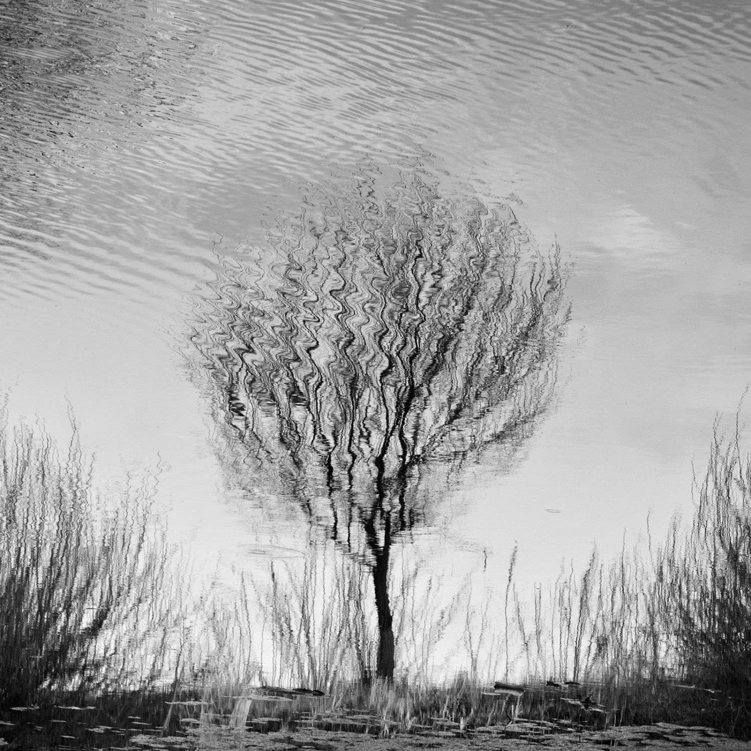 отражение, Антон