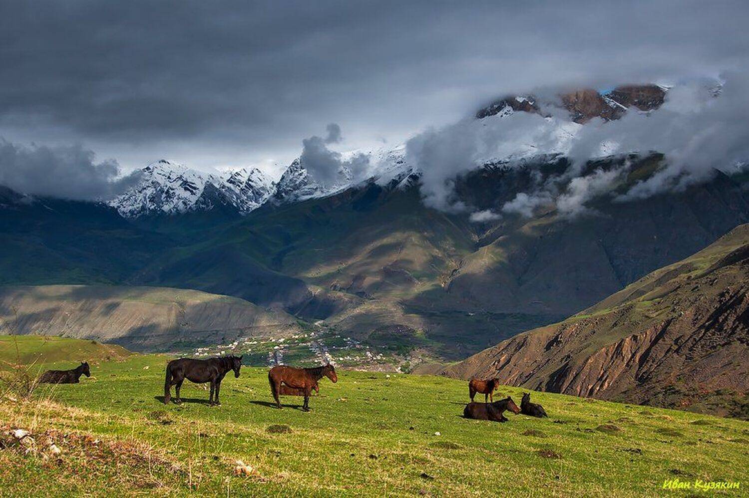 Скалистый хребет Верхняя Балкария Безенги Каракая Мыхтенген Мехтыген Соухауз цветы поход фототур фото горы Кавказ, Ivan