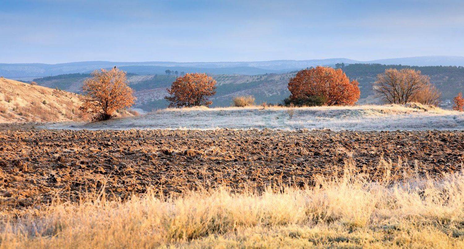 , Андрей Гусаченко