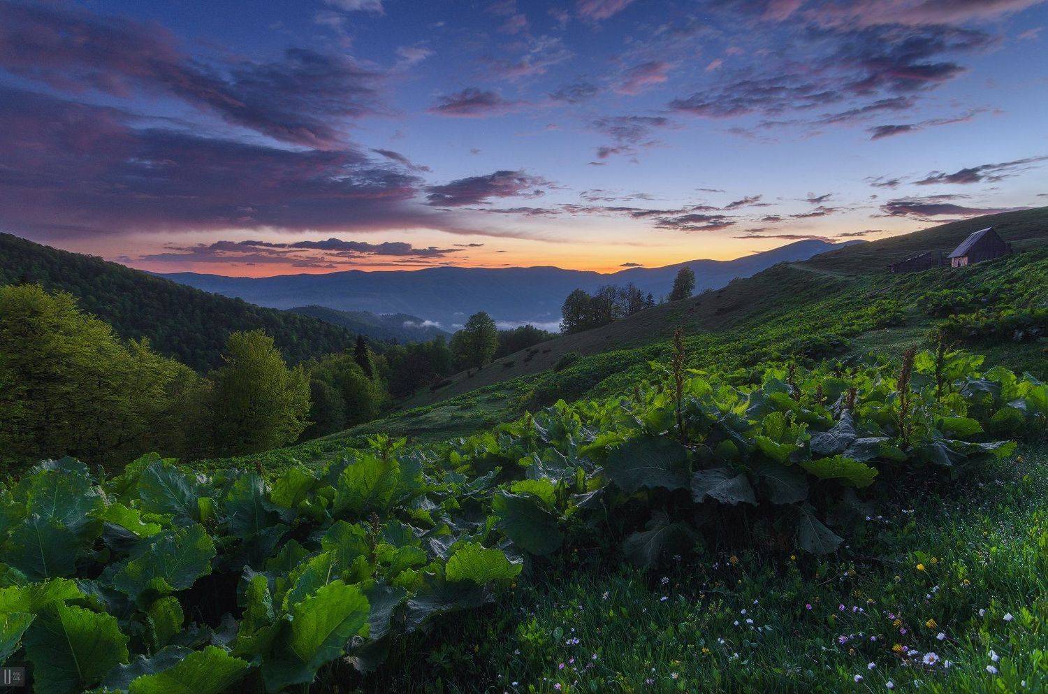 горы, закат, карпаты, полонина, менчул, лопухи, колыба, печка, пастухи, U-235