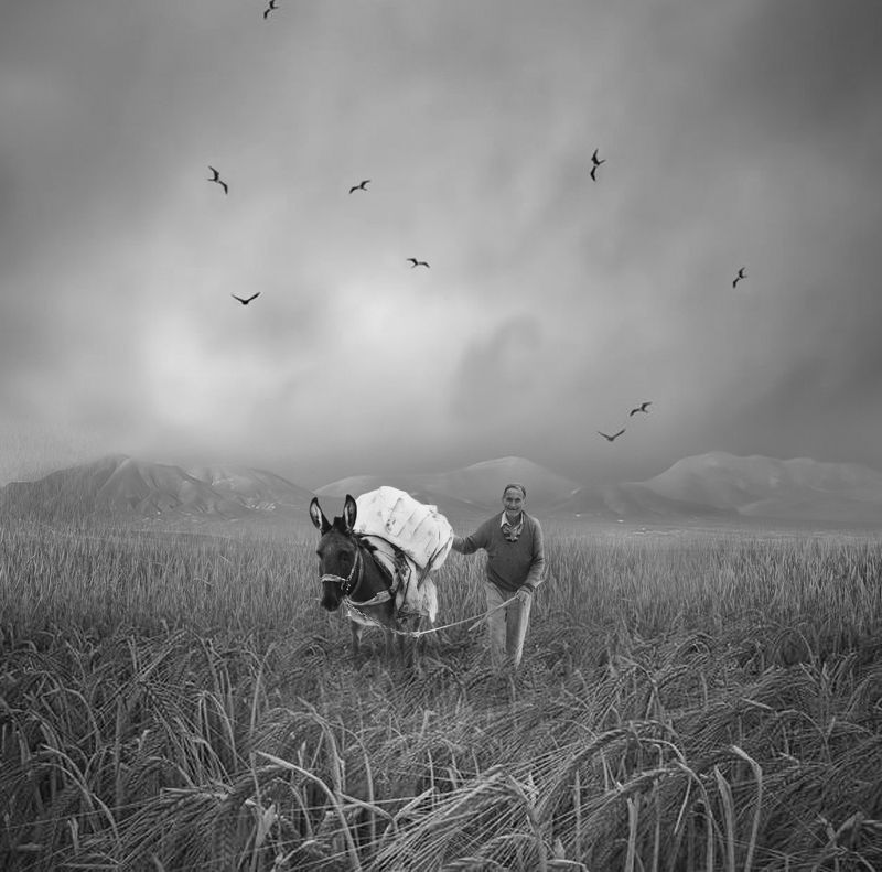 #man #sky #old_man #bnw #fine_art #deck #rock #mehrzad_photo #hossein_mehrzad The Revenant фото превью