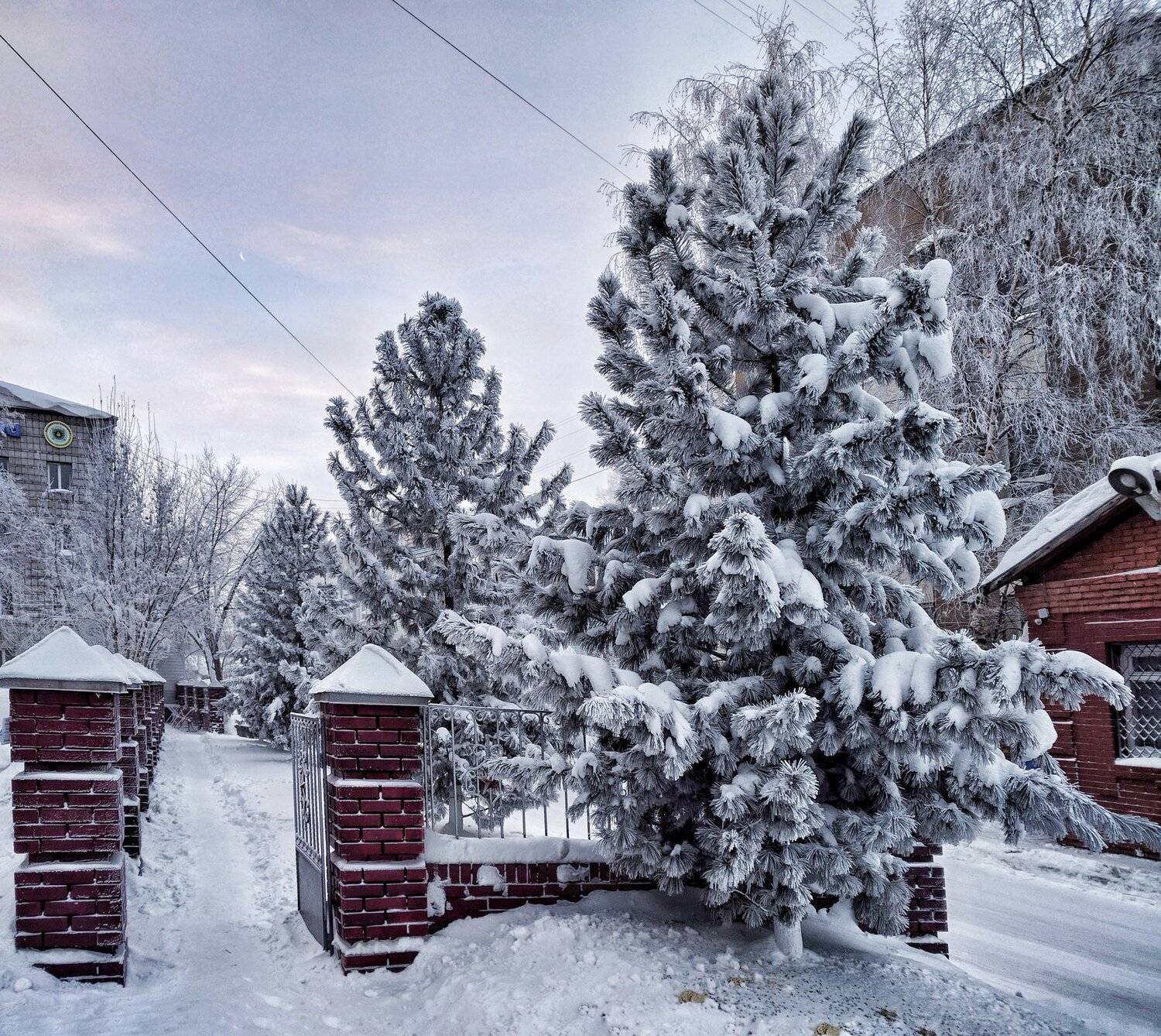 сибирь, томск, снег, зима, nexus 6p, Цвелёв Дмитрий