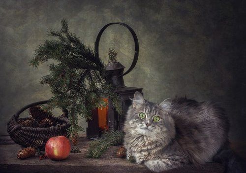 Пригрелась