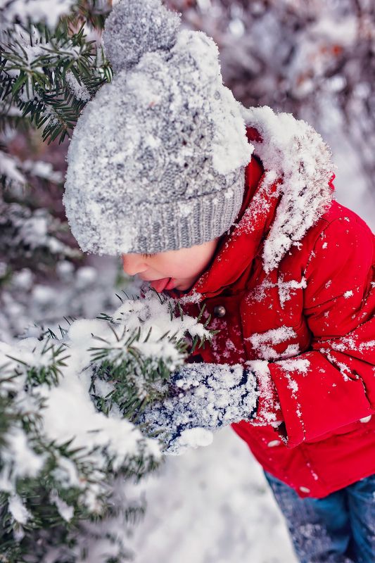 Вкусная зима. фото превью