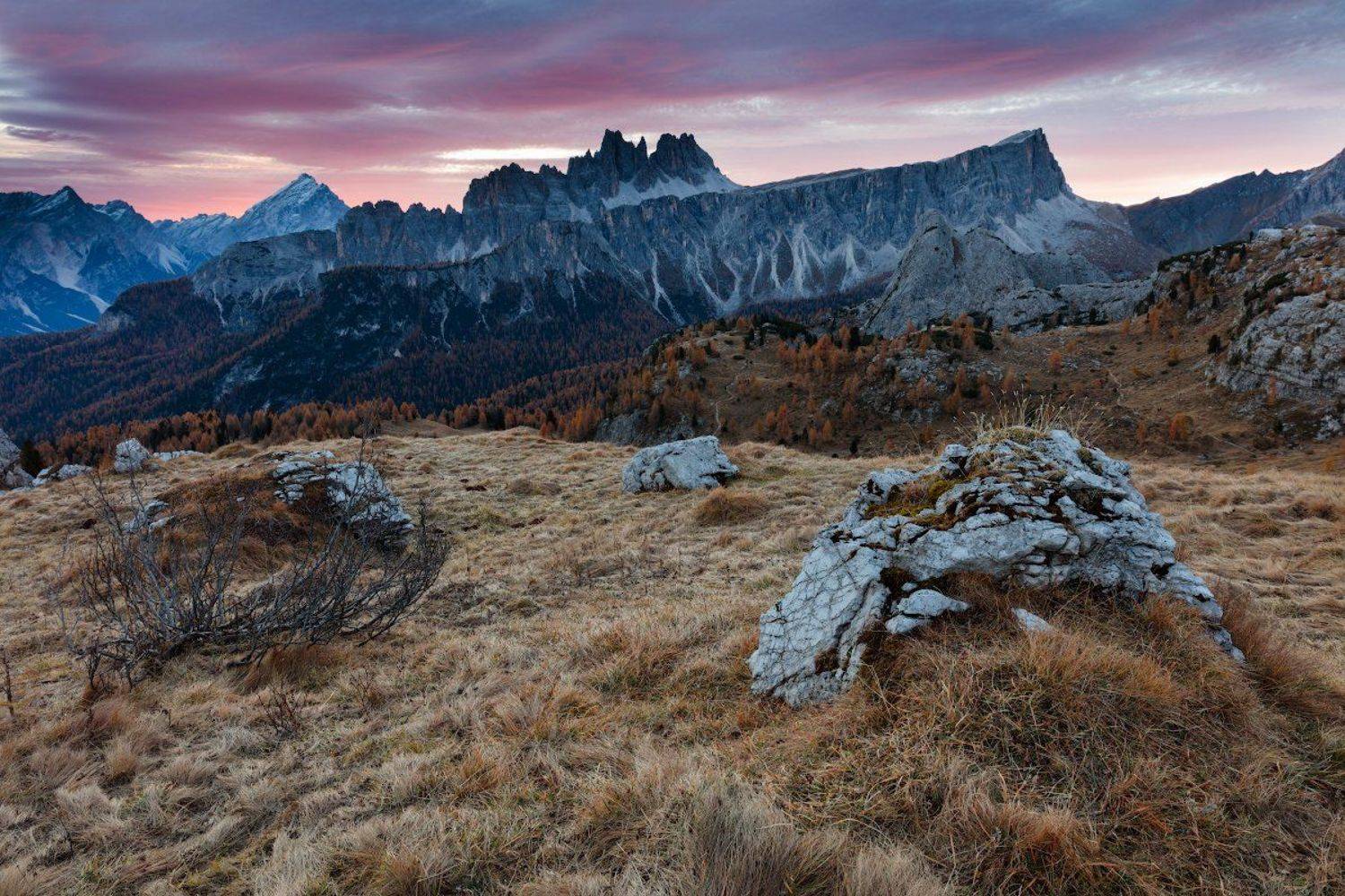 , Питенин Дмитрий